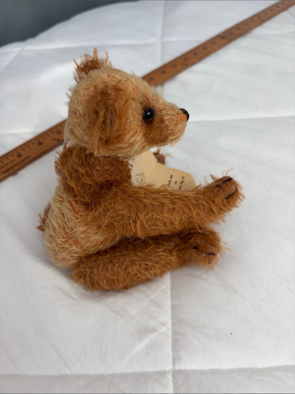 Teddy bear ace - Picture 8 of 11